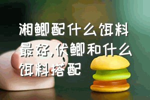 湘鲫配什么饵料最好（伏鲫和什么饵料搭配）