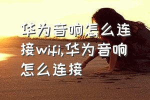 华为音响怎么连接wifi（华为音响怎么连接）