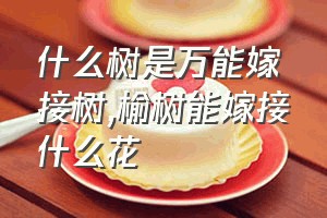 什么树是万能嫁接树（榆树能嫁接什么花）