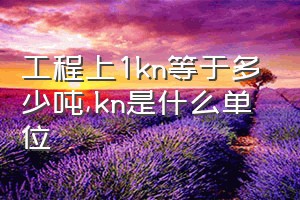 工程上1kn等于多少吨（kn是什么单位）