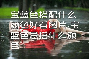 宝蓝色搭配什么颜色好看图片（宝蓝色忌搭什么颜色）