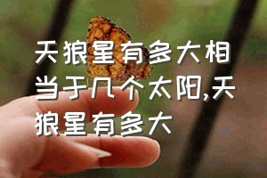 天狼星有多大相当于几个太阳（天狼星有多大）