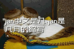 jan中文是几（jan是几月的缩写）