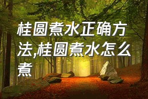 桂圆煮水正确方法（桂圆煮水怎么煮）