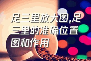 足三里放大图（足三里的准确位置图和作用）