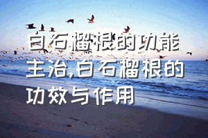 白石榴根的功能主治（白石榴根的功效与作用）