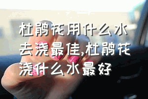 杜鹃花用什么水去浇最佳（杜鹃花浇什么水最好）