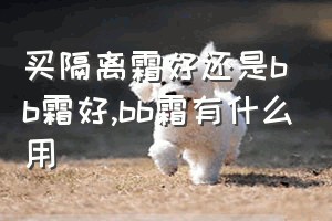 买隔离霜好还是bb霜好（bb霜有什么用）