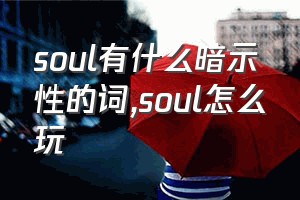 soul有什么暗示性的词（soul怎么玩）