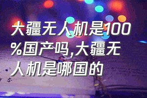 大疆无人机是100%国产吗（大疆无人机是哪国的）