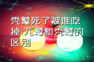 秃鹫死了被谁吃掉（兀鹫和秃鹫的区别）