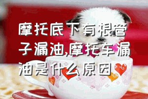 摩托底下有根管子漏油（摩托车漏油是什么原因）