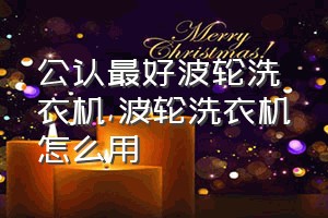 公认最好波轮洗衣机（波轮洗衣机怎么用）