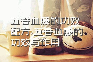 五香血藤的功效配方（五香血藤的功效与作用）