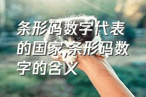 条形码数字代表的国家（条形码数字的含义）