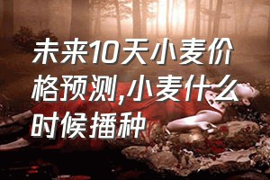 未来10天小麦价格预测（小麦什么时候播种）