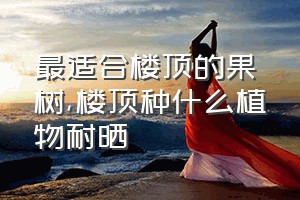 最适合楼顶的果树（楼顶种什么植物耐晒）