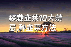 移栽韭菜10大禁忌（种韭菜方法）