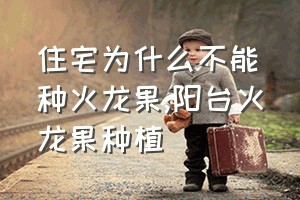 住宅为什么不能种火龙果（阳台火龙果种植）