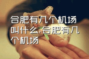 合肥有几个机场叫什么（合肥有几个机场）