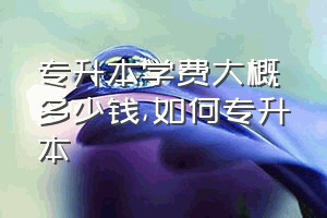 专升本学费大概多少钱（如何专升本）