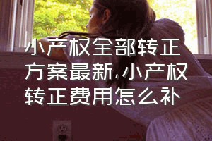 小产权全部转正方案最新（小产权转正费用怎么补）