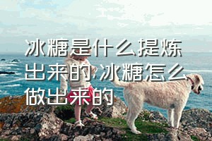 冰糖是什么提炼出来的（冰糖怎么做出来的）