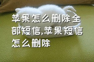 苹果怎么删除全部短信（苹果短信怎么删除）