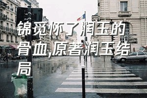 锦觅怀了润玉的骨血（原著润玉结局）