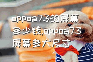 oppoa73的屏幕多少钱（oppoa73屏幕多大尺寸）