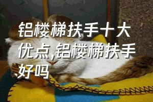 铝楼梯扶手十大优点（铝楼梯扶手好吗）