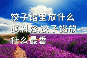 饺子馅里放什么调料好（饺子馅放什么最香）