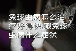 兔球虫病怎么治疗好得快（獭兔球虫病什么症状）