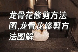 龙骨花修剪方法图（龙骨花修剪方法图解）