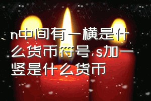 n中间有一横是什么货币符号（s加一竖是什么货币）