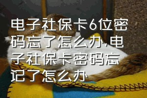 电子社保卡6位密码忘了怎么办（电子社保卡密码忘记了怎么办）