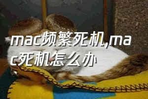 mac频繁死机（mac死机怎么办）