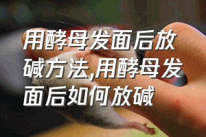 用酵母发面后放碱方法（用酵母发面后如何放碱）