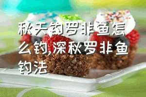 秋天钓罗非鱼怎么钓（深秋罗非鱼钓法）