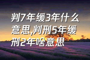 判7年缓3年什么意思（判刑5年缓刑2年啥意思）