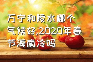 万宁和陵水哪个气候好（2020年春节海南冷吗）