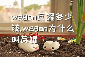 wagon瓦罐多少钱（wagon为什么叫瓦罐）