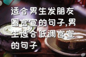 适合男生发朋友圈官宣的句子（男生适合低调官宣的句子）