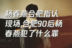 杨春燕合肥指认现场（合肥90后杨春燕犯了什么罪）