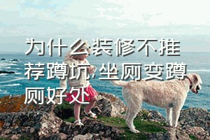 为什么装修不推荐蹲坑（坐厕变蹲厕好处）