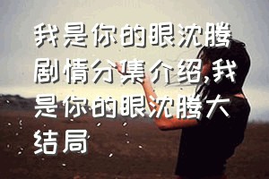 我是你的眼沈腾剧情分集介绍（我是你的眼沈腾大结局）