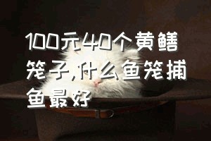 100元40个黄鳝笼子（什么鱼笼捕鱼最好）