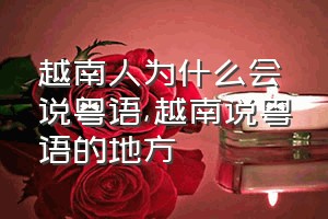 越南人为什么会说粤语（越南说粤语的地方）