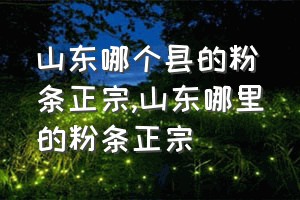 山东哪个县的粉条正宗（山东哪里的粉条正宗）