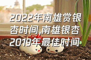 2022年南雄赏银杏时间（南雄银杏2019年最佳时间）